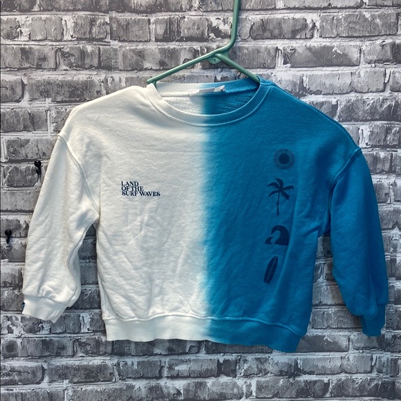 Zara Other - Zara Blue and White Graphic Sweatshirt